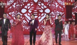 春晚演员爆料大全最新,演员爆料大全，幕后故事大公开！