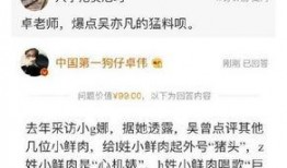 高招爆料打脸视频,真相与谣言的碰撞